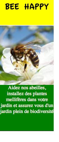 Bee_happy_biodiversité