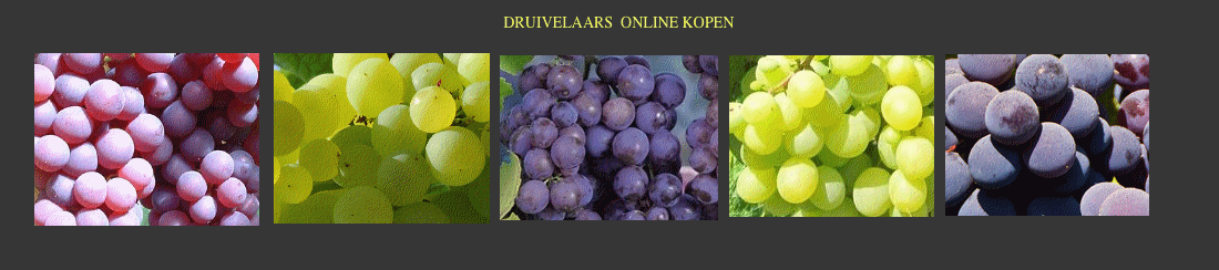 Ons aanbod druivelaars , info, prijzen